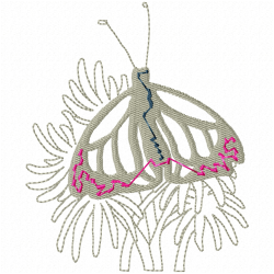 Butterfly Embroidery Design 5
